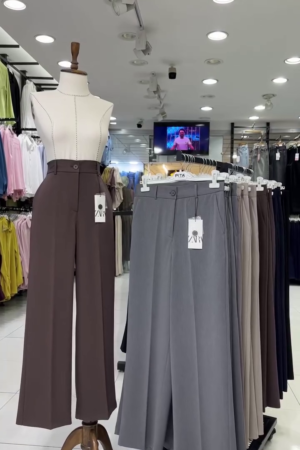 Women Smart Loose Fit High-Rise Easy Wash Pleated Trousers